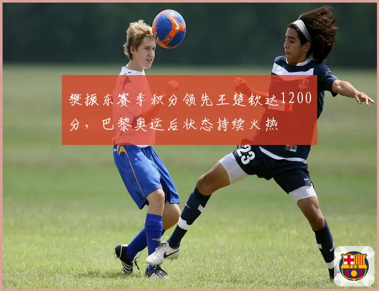 樊振东赛季积分领先王楚钦达1200分,巴黎奥运后状态持续火热