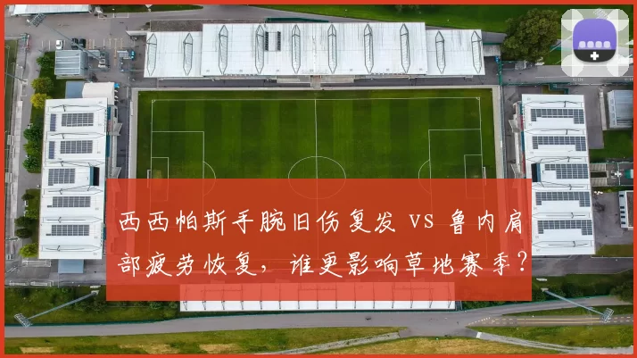 西西帕斯手腕旧伤复发 vs 鲁内肩部疲劳恢复,谁更影响草地赛季?